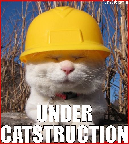 成大資工 大二上(114-1) [施工中]